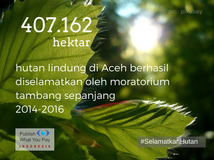 13726844_1029173067119305_3694262338451527041_n-1